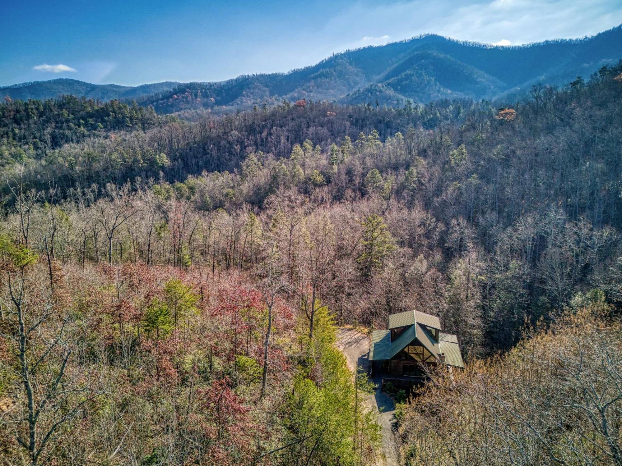 Heavenly Bear, Hot Tub, 1089 Of Free Attraction Tickets For Each Paid Day, Dollywood And More Sevierville Exteriör bild